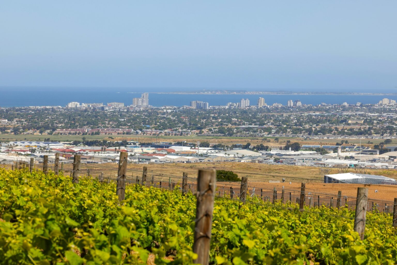 Where to Stay in McLaren Vale (First-Time Visitor Hotel Guide)