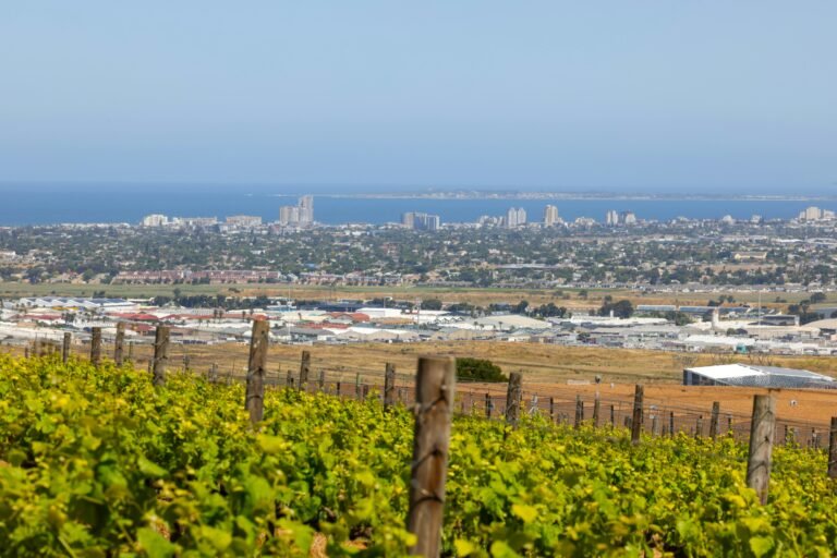 Where to Stay in McLaren Vale (First-Time Visitor Hotel Guide)