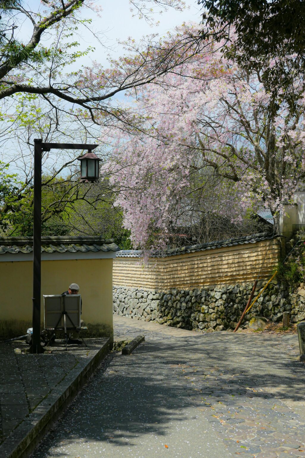 Where to Stay in Narusawa (First-Time Visitor Hotel Guide)