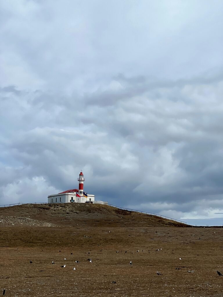 Where to Stay in Punta Arenas (First-Time Visitor Guide)