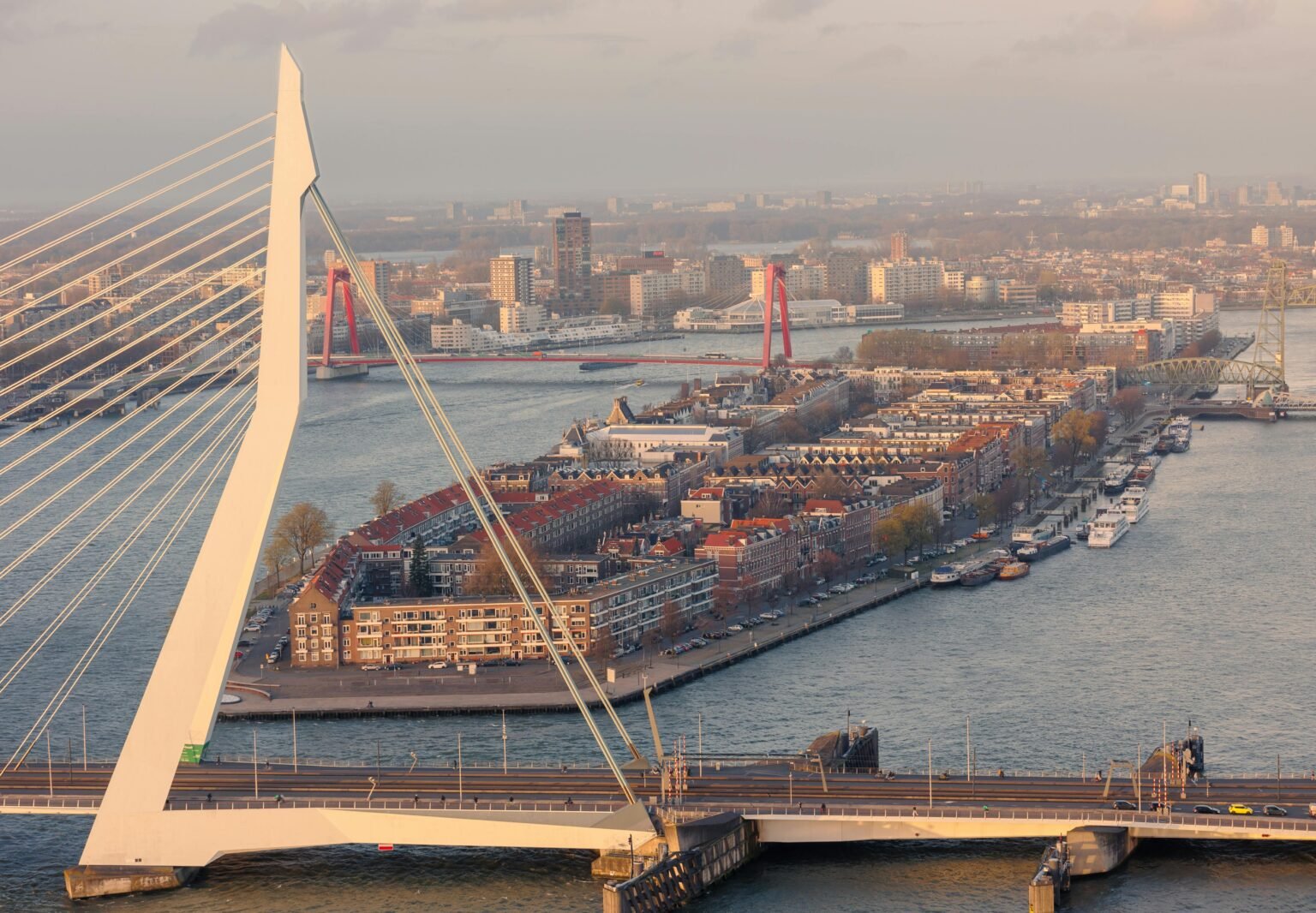 Where to Stay in Rotterdam (First-Time Visitors’ Guide)