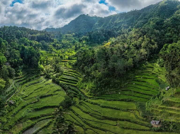Where to Stay in Tegalalang (First-Time Visitor Guide)