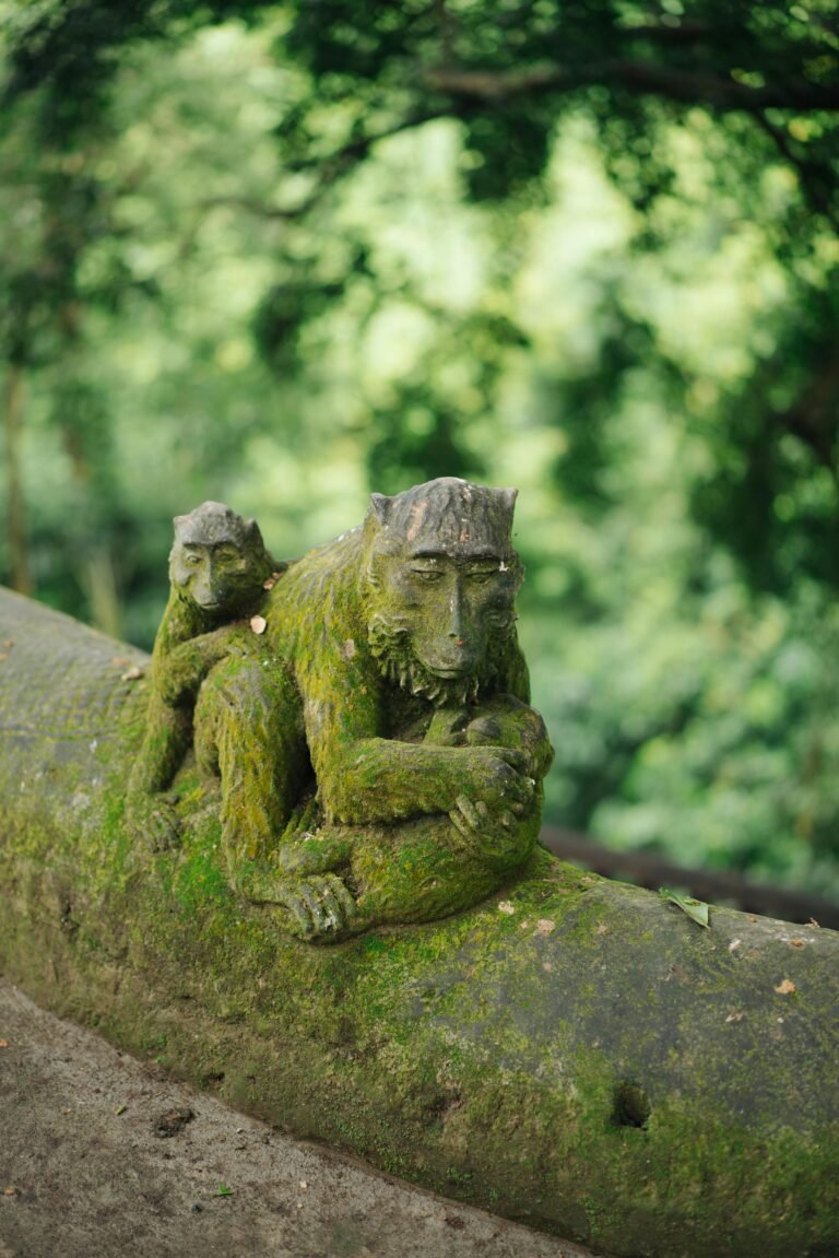 Where to Stay in Ubud (First-Time Visitor Guide)