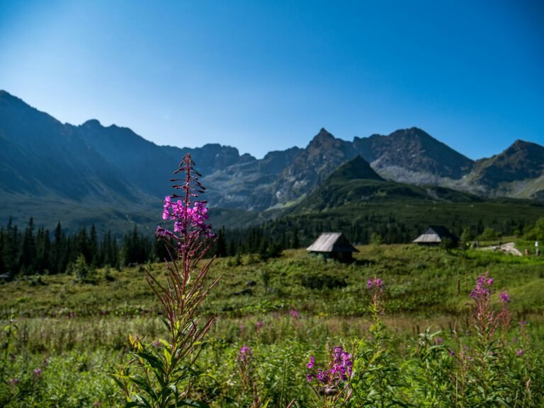 Where to Stay in Zakopane (First-Time Visitor Guide)