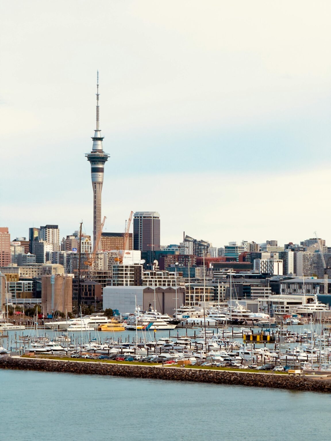 Best Hotels in Auckland for Families