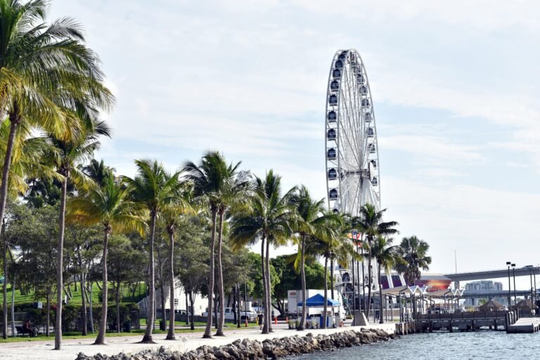 Best Hotels in Miami for Families