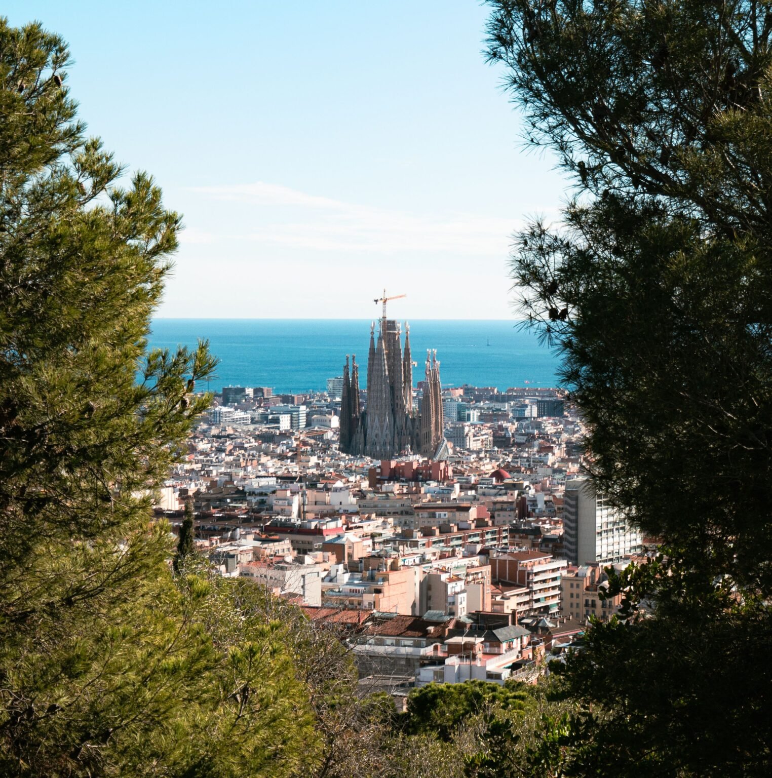 Things to Do in Barcelona: Top Experiences & Tours 2026