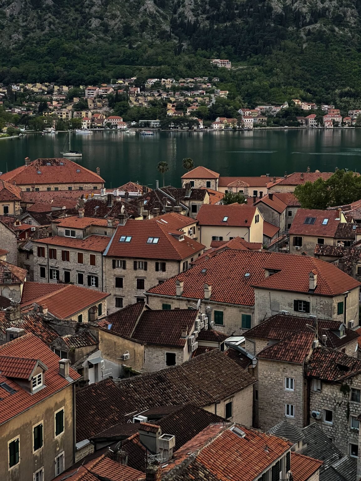 Best Hotels in Kotor