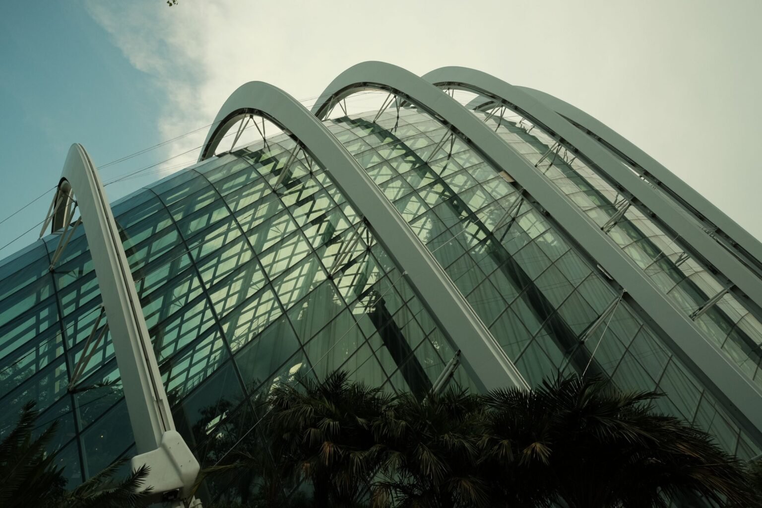Best Hotels in Singapore: Top Stays by Neighborhood (Luxury to Value)
