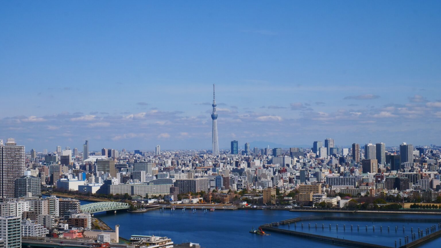 Where to Stay in Tokyo: Best Areas & Hotels for Solo Travelers